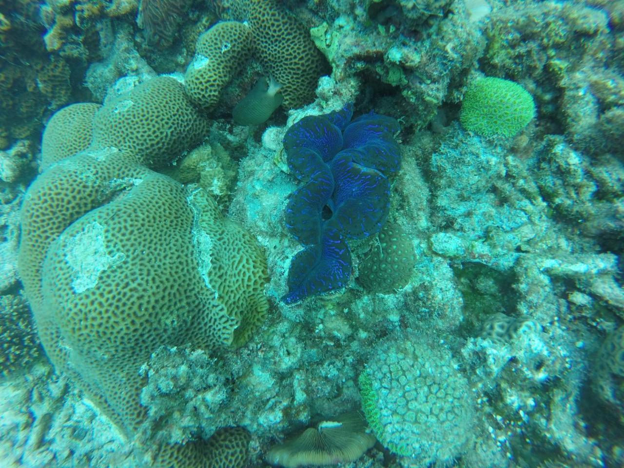 Golhaa View Inn By Tes Thulusdhoo Bagian luar foto